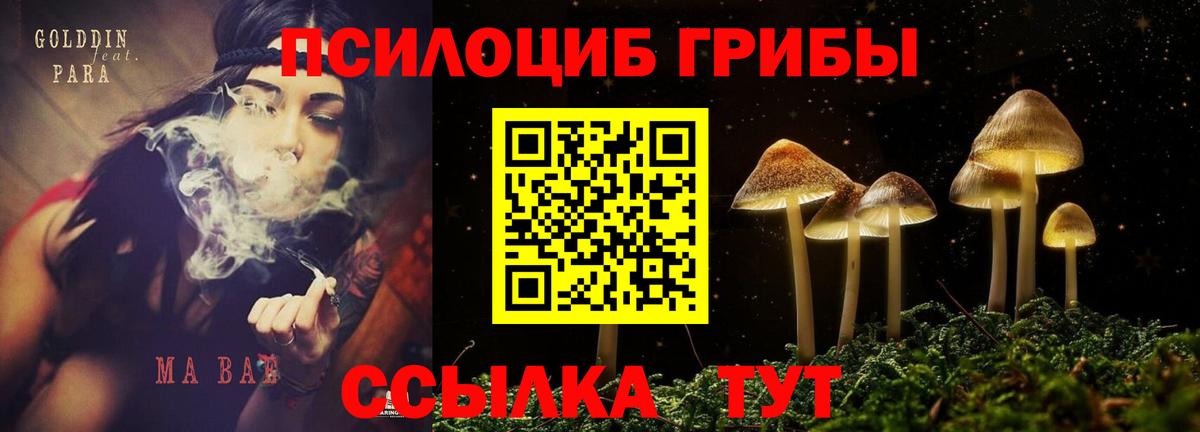 Галлюциногенные грибы GOLDEN TEACHER  Вход с VPN  Кириши 